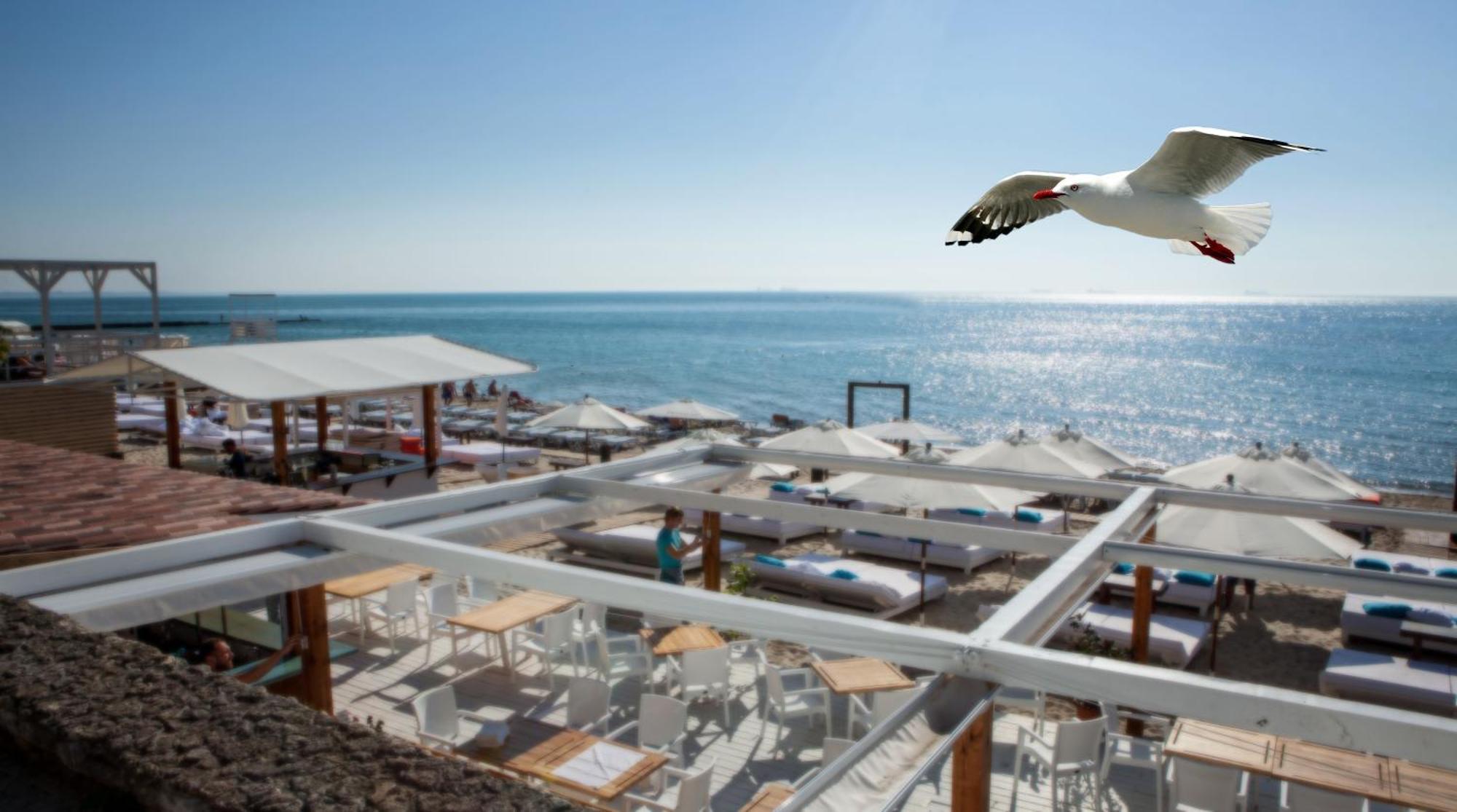 Hotel Otrada Odesa Exterior photo